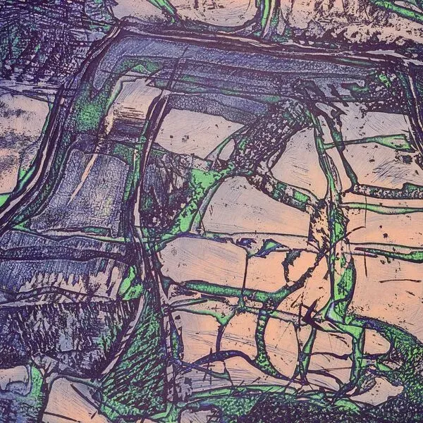 Illustration numéro 4 du produit Lithographie de Joelle SERVE ''Amalgame''signée