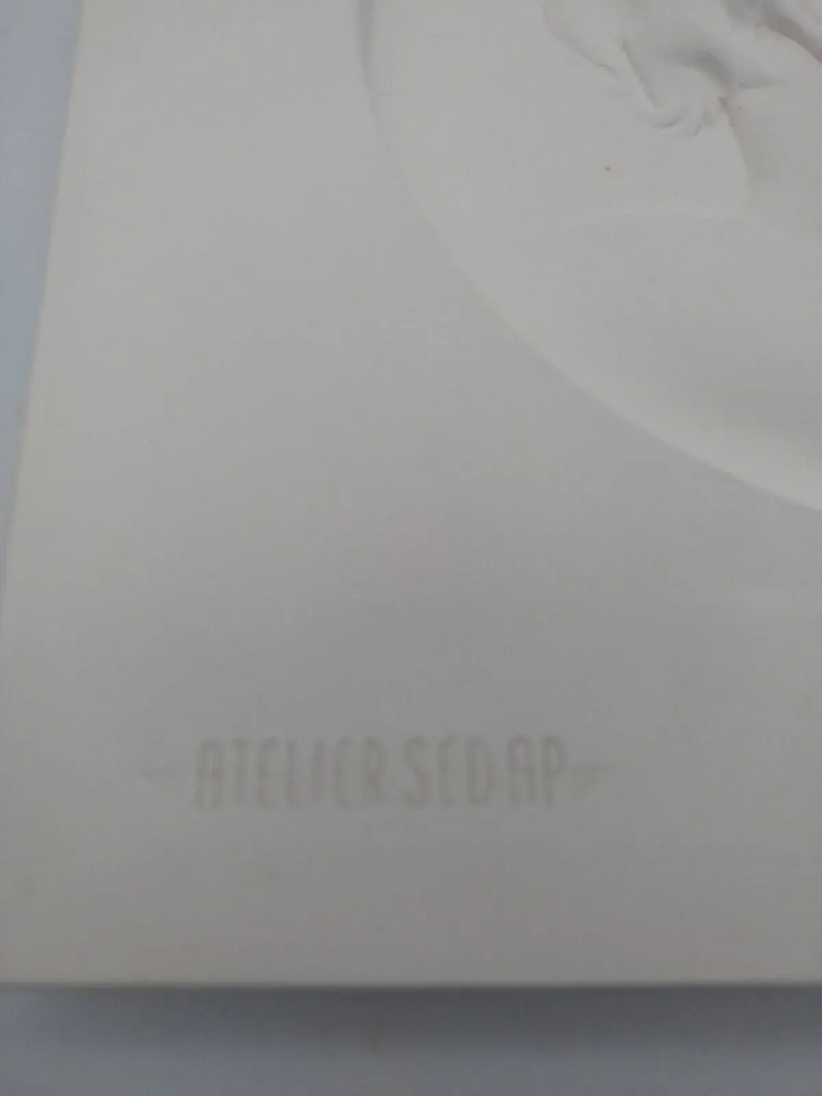 Illustration numéro 4 du produit Portrait moulé en bas relief sur plâtre - Atelier SEDAP