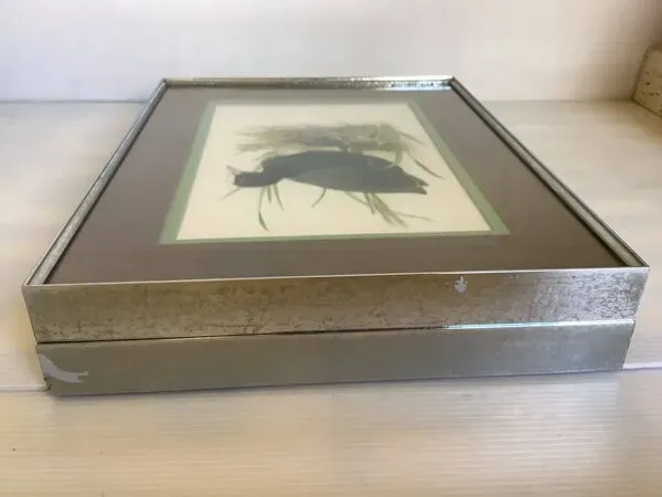 Illustration numéro 4 du produit Paire d’illustrations d’oiseaux encadrés