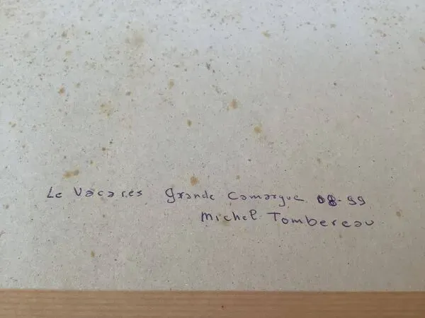 Illustration numéro 4 du produit Tableau encadré la Camargue signé Michel Tombereau