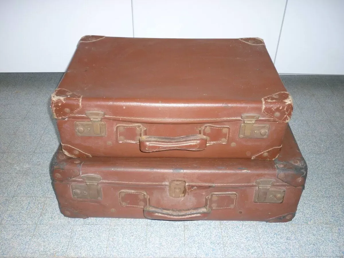 Illustration numéro 4 du produit Paire de valises rousses des années 1950
