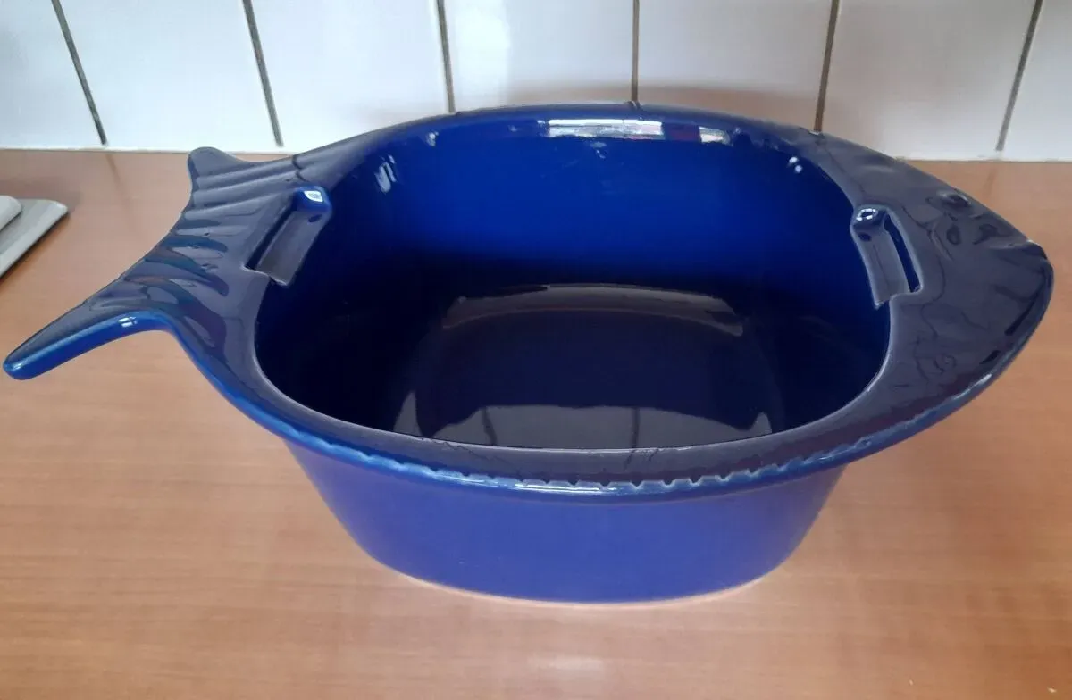 Illustration numéro 4 du produit Plat de cuisson poisson céramique - BCI Bretagne Céramique Industrie