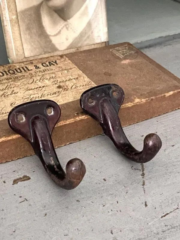 Illustration numéro 4 du produit Paire de crochets métalliques