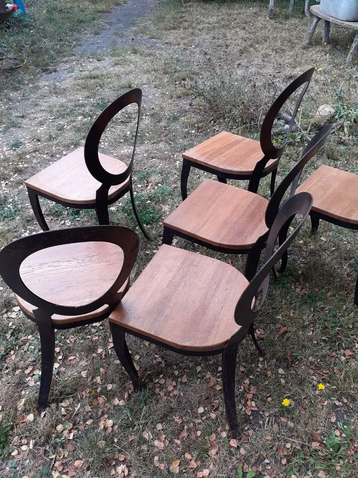 Illustration numéro 4 du produit Set de 6 chaises années 80 de style Louis XVI