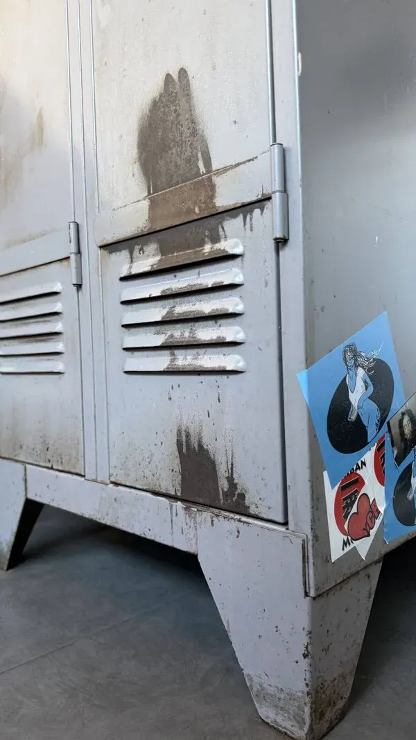 Illustration numéro 4 du produit Vestiaire industriel d’atelier