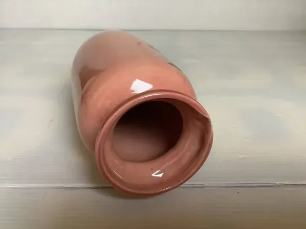 Illustration numéro 4 du produit Vase majolique de Wasmuel Belgique