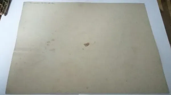 Illustration numéro 4 du produit Dessin d'école ,d'étude ancien années 20 ''oignon/navet