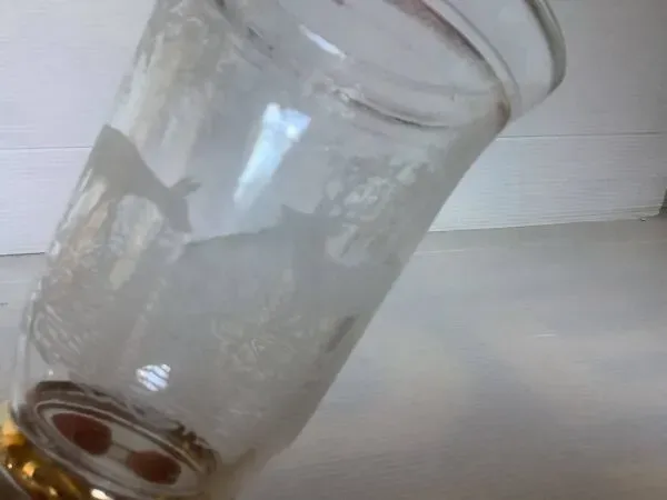 Illustration numéro 4 du produit Six anciens vases en verre moulé zoomorphe