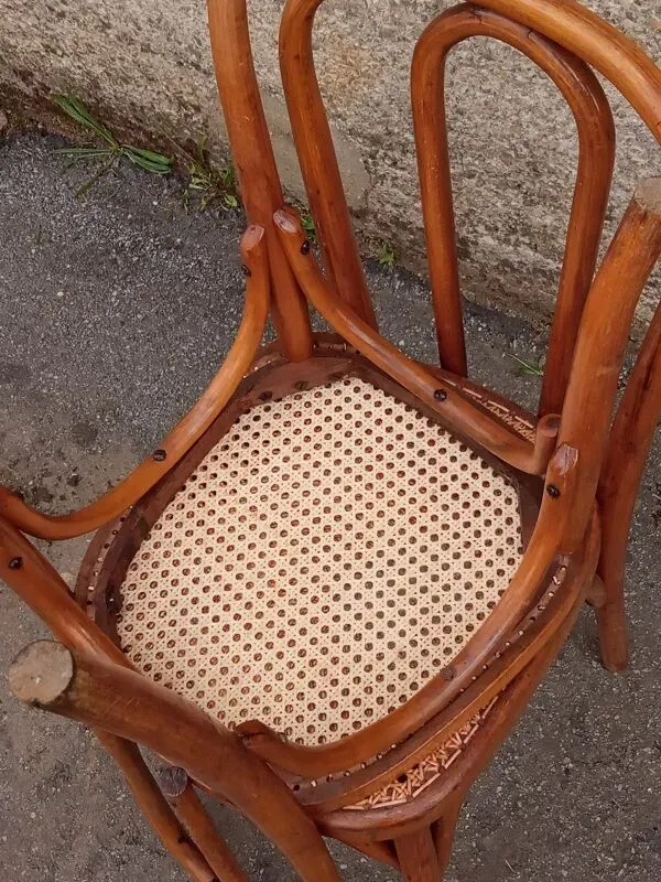 Illustration numéro 4 du produit Paire de chaises Fischel cannées, circa 1900