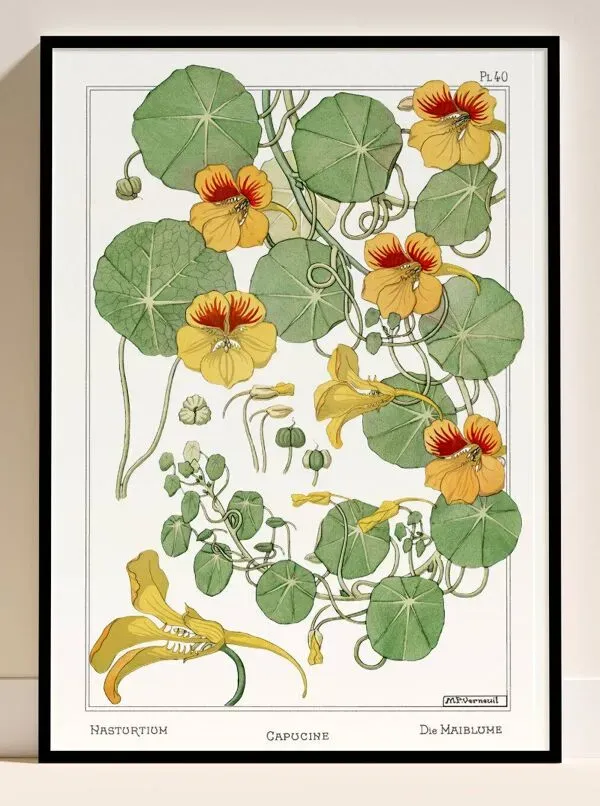 Illustration numéro 4 du produit Affiche “Capucine”, d’après une lithographie art nouveau de 1897