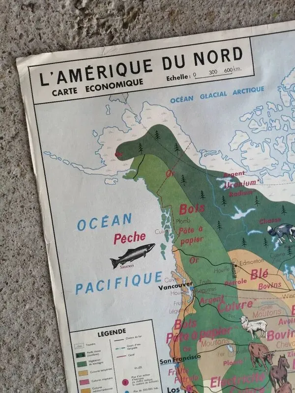 Illustration numéro 4 du produit Carte scolaire vintage mdi Amérique du Nord-Asie.