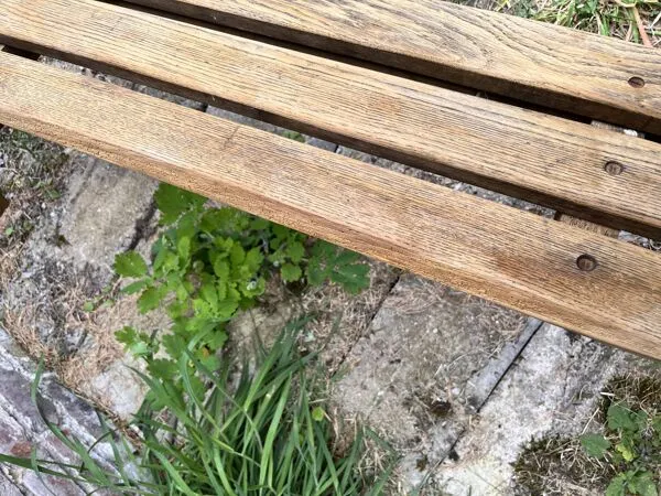 Illustration numéro 4 du produit Banc en bois