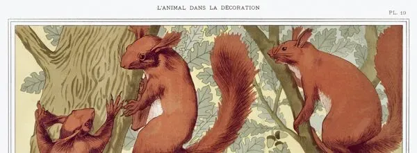 Illustration numéro 4 du produit Affiche “Écureuils”, d’après une lithographie art nouveau de 1897