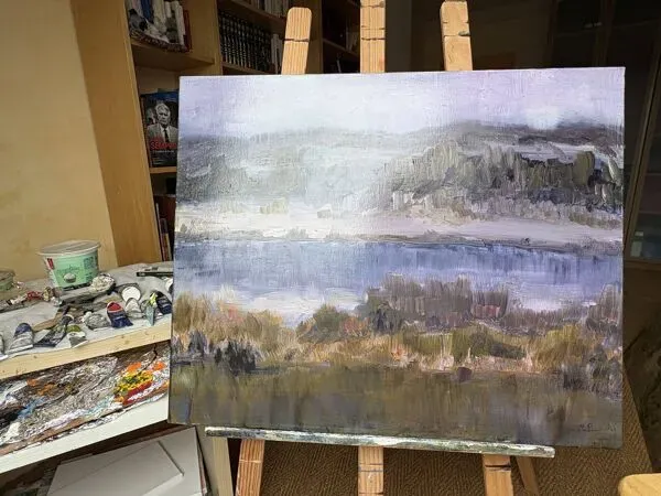 Illustration numéro 4 du produit Nuit - Étang de Hoste