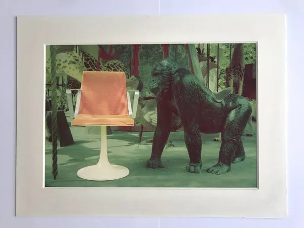 Illustration numéro 4 du produit Tirages d'expo pour les 30 ans de la chaise d’Allibert, éditée dans les 70
