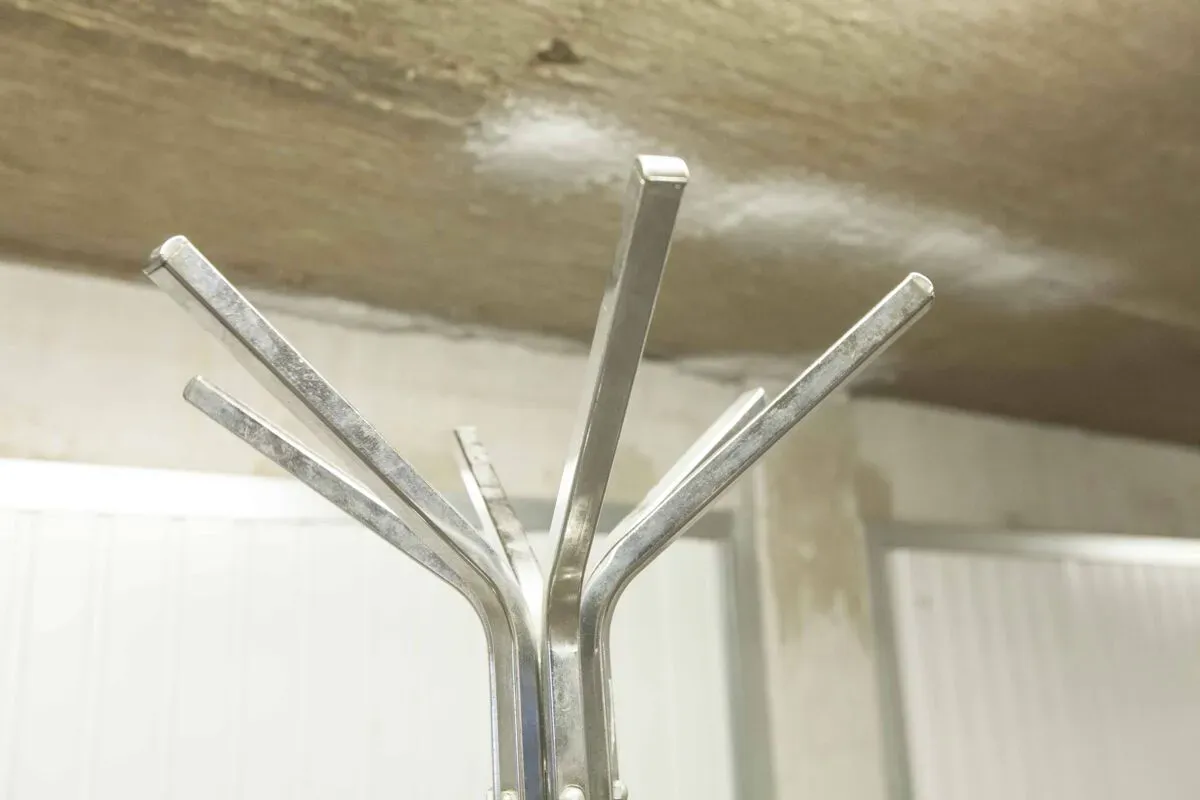 Illustration numéro 4 du produit Portemanteau perroquet industriel 1960 chrome