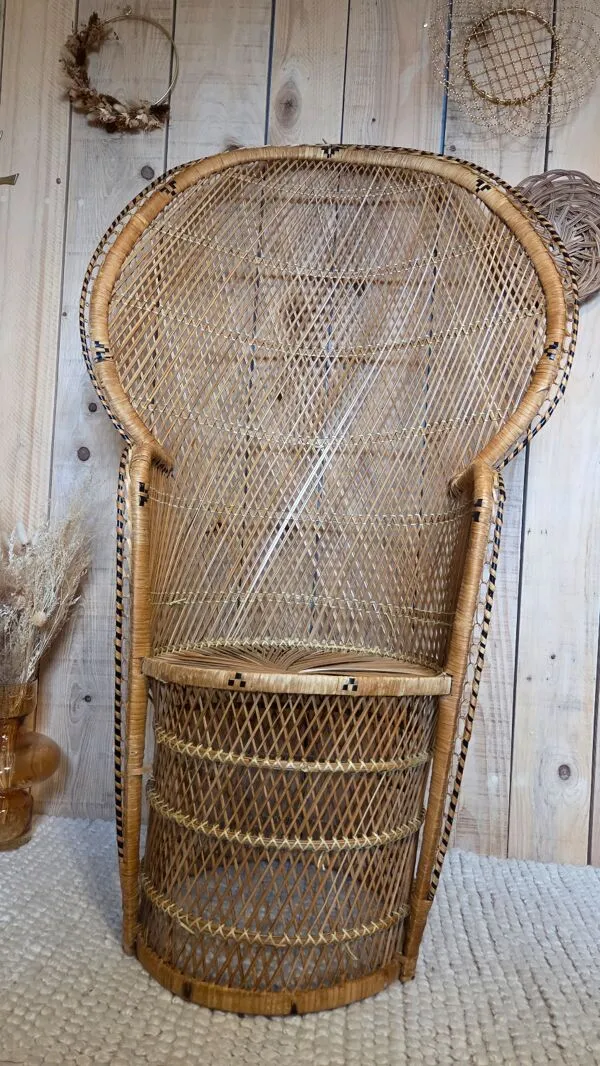 Illustration numéro 4 du produit Fauteuil Emmanuelle  en rotin