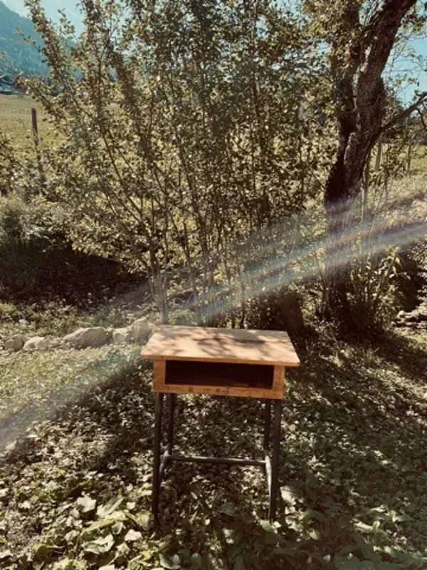 Illustration numéro 4 du produit Pupitre d'écolier