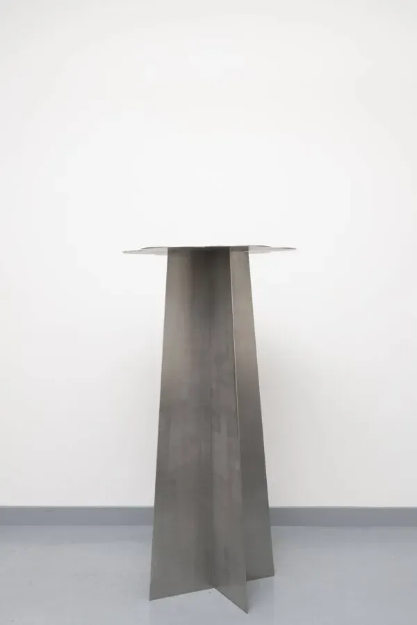 Illustration numéro 4 du produit 3 tables fleurs en acier inoxydable