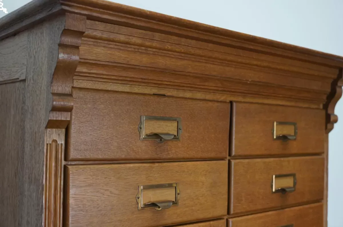 Illustration numéro 4 du produit Apothecary or oak binder Netherlands 1930s