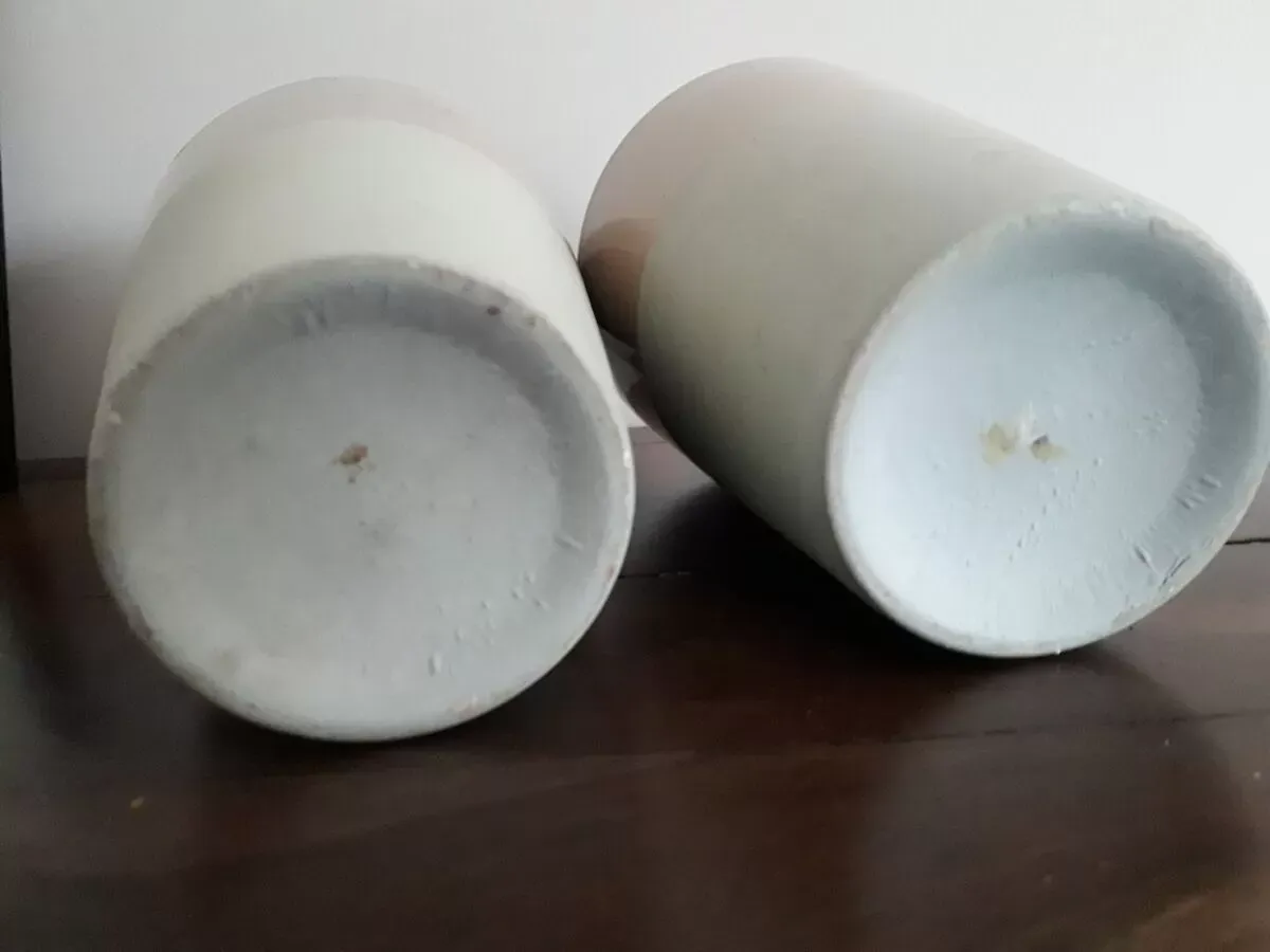 Illustration numéro 4 du produit Paire de vases