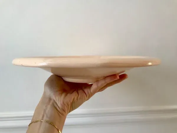 Illustration numéro 4 du produit Plat creux digoin sarreguemines beige à fleurs roses et bleues années 40