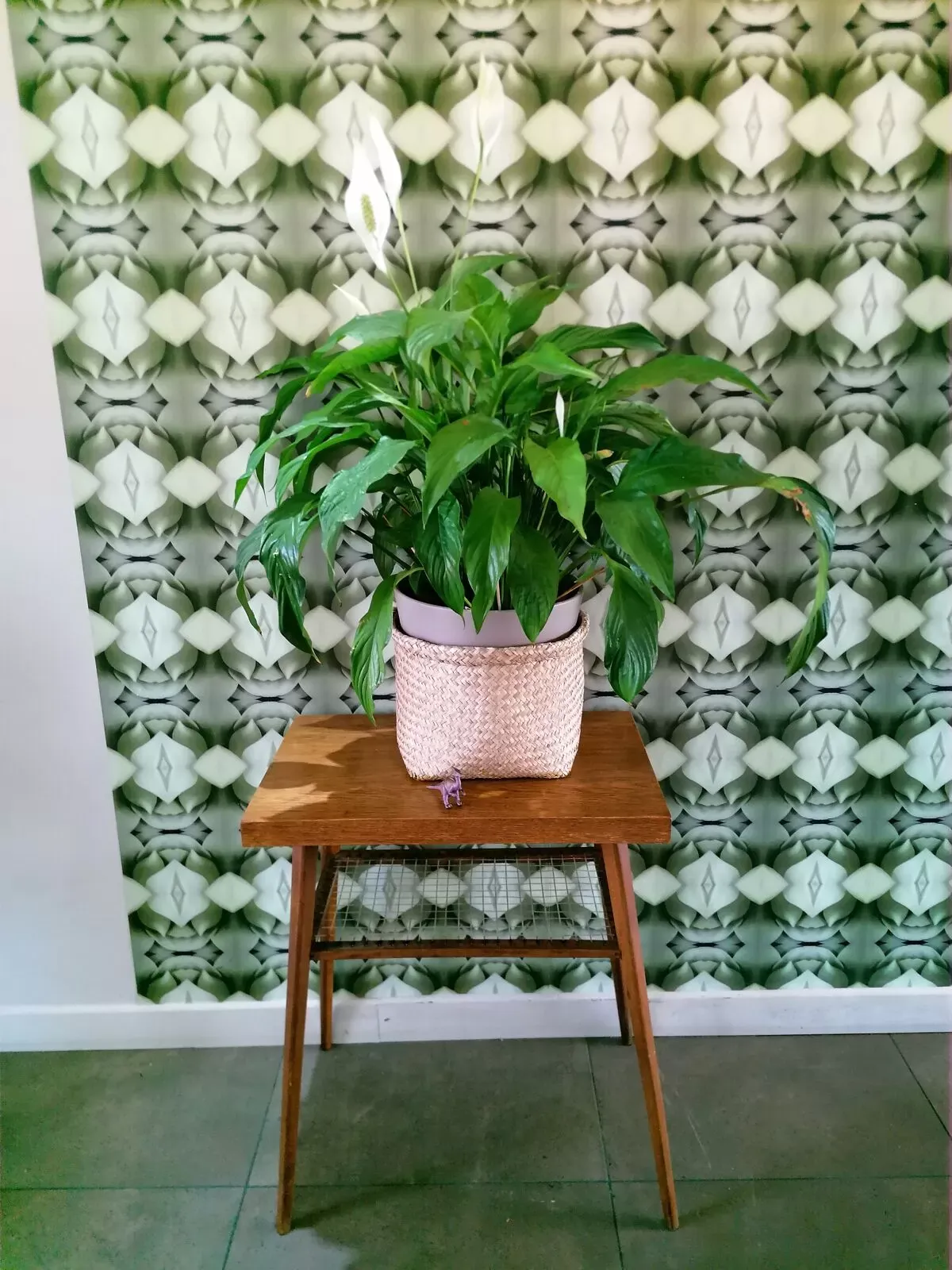 Illustration numéro 4 du produit Table basse vintage, d'appoint, tchèque, Dřevopodnik Holešov