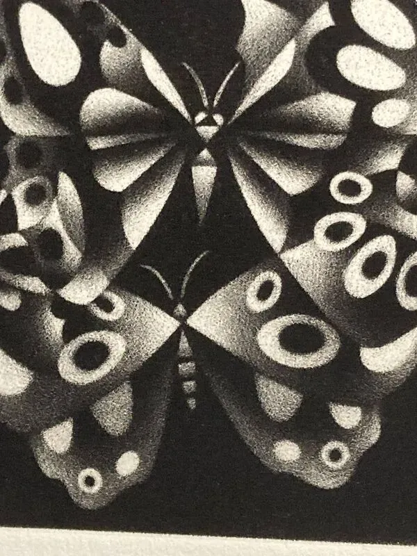 Illustration numéro 4 du produit Mario avati (1921-2009), papillons, manière noire, 1970
