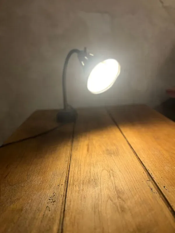 Illustration numéro 4 du produit Lampe indus vintage