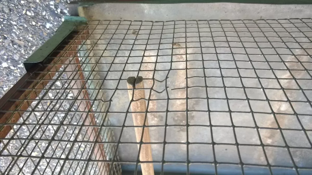 Illustration numéro 4 du produit Cage à oiseaux art populaire ancien