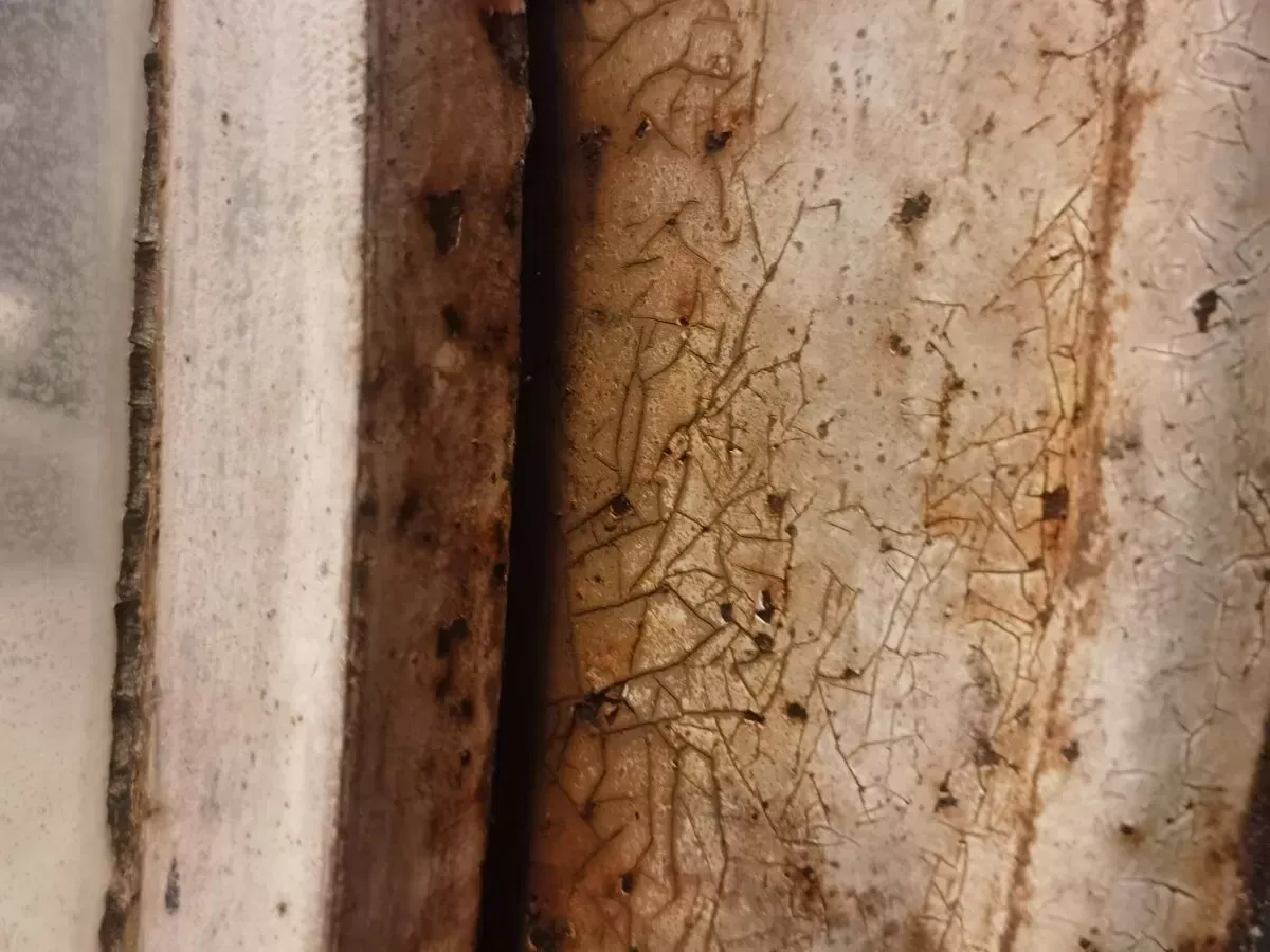 Illustration numéro 4 du produit Miroir Convexe Industriel République Tchèque 1960