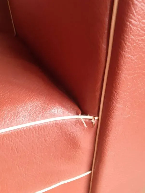 Illustration numéro 4 du produit Fauteuil club 1950