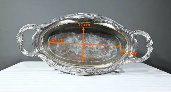 Illustration numéro 4 du produit Jardinière en Bronze argenté, Victor Saglier, Art Nouveau – Fin XIXème