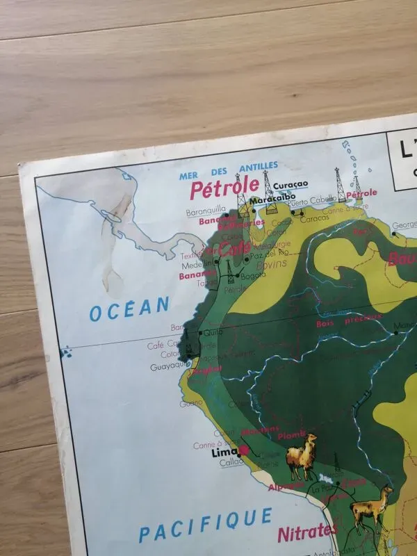 Illustration numéro 4 du produit CARTE SCOLAIRE vintage MDI : AFRIQUE-AMERIQUE DU SUD.