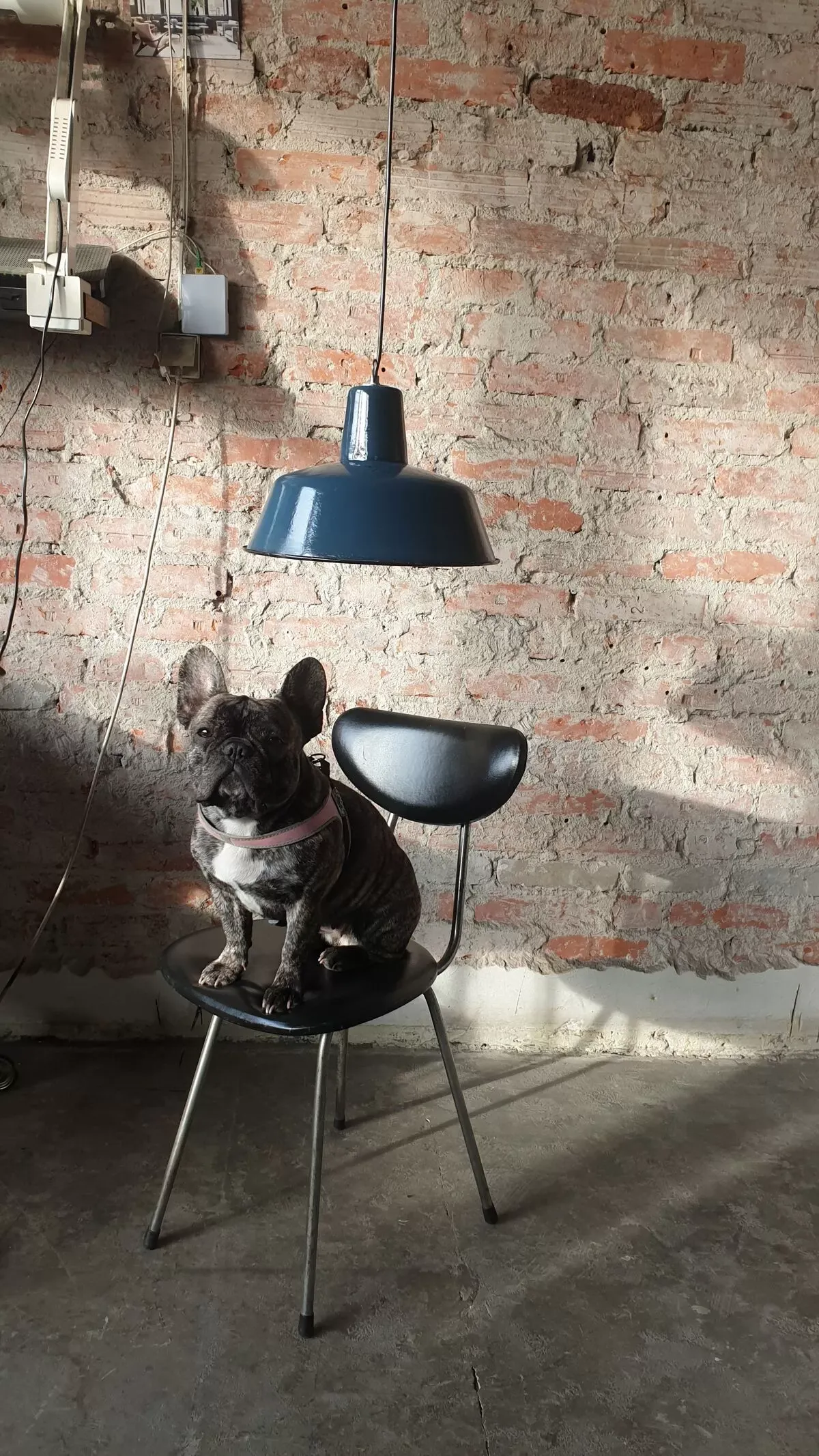 Illustration numéro 4 du produit Suspension industrielle de Wikasy A23, années 1960