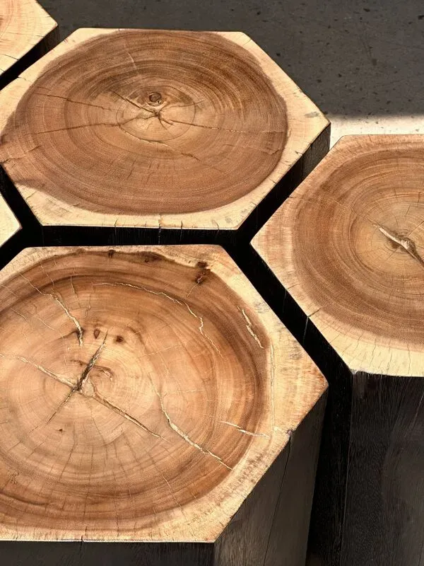 Illustration numéro 4 du produit Ensemble de 5 stools hexagonaux en suar bicolore formant mobilier d'appoint