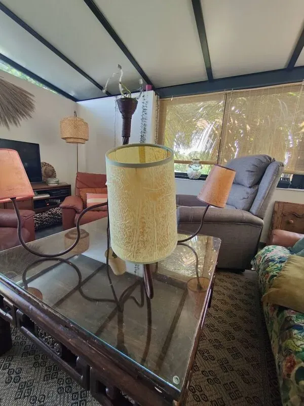 Illustration numéro 4 du produit Lustre industriel