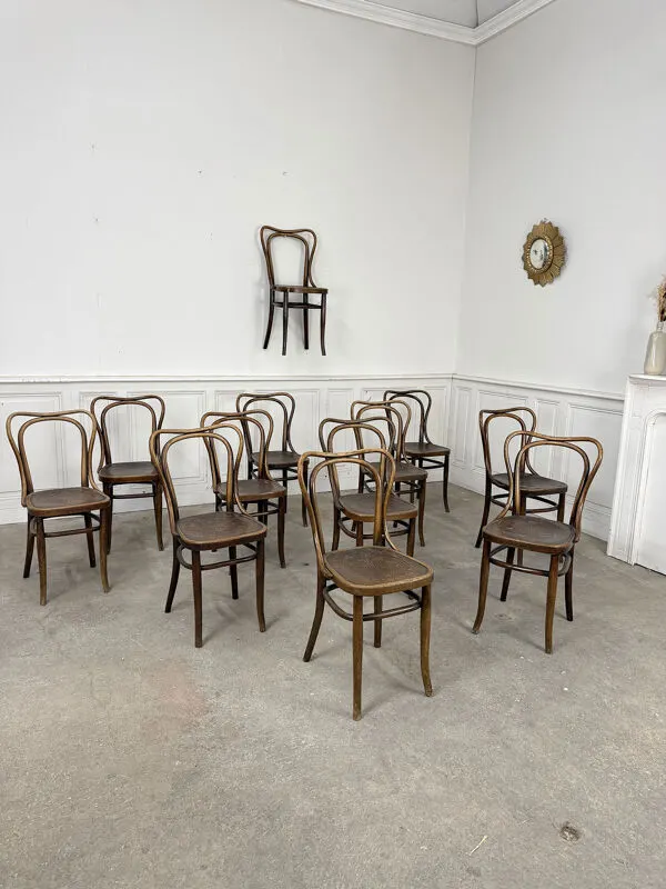 Illustration numéro 4 du produit Suite de 12 chaises de bistrot à gaufrage végétal 1920