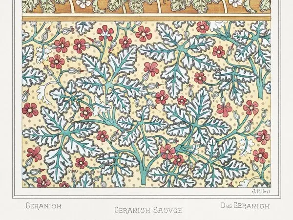 Illustration numéro 4 du produit Affiche “Géranium”, d’après une lithographie art nouveau de 1897
