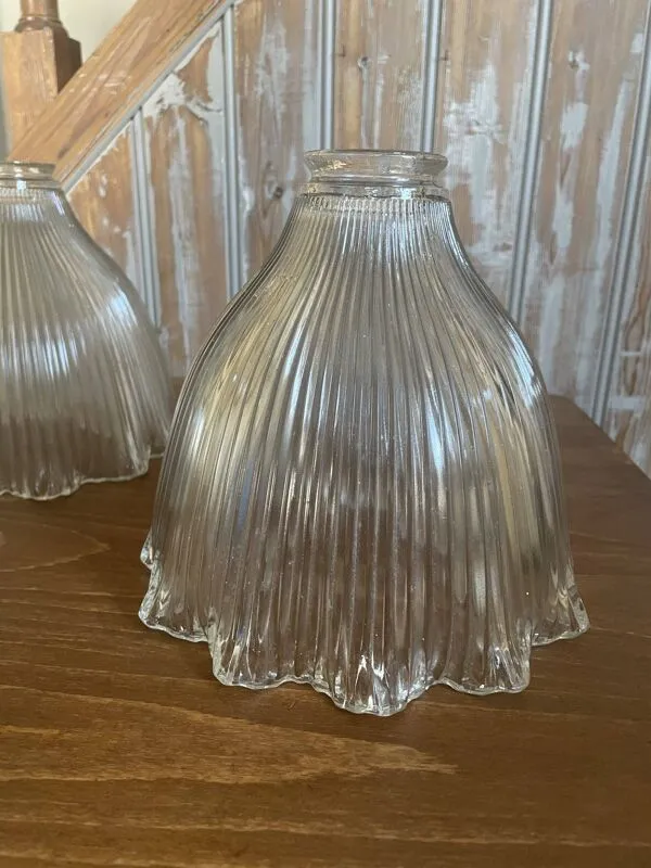 Illustration numéro 4 du produit Paire de globes tulipe holophanes