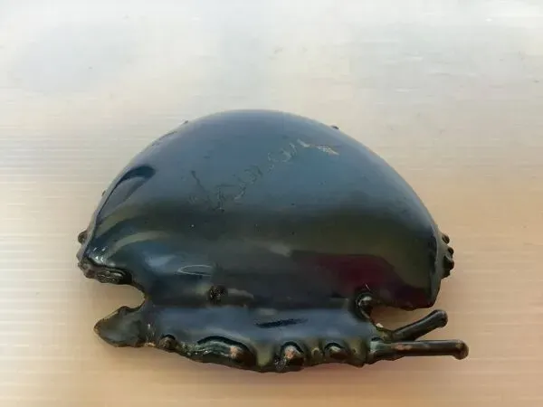 Illustration numéro 4 du produit Vide poche baguier escargot Laurana Italy