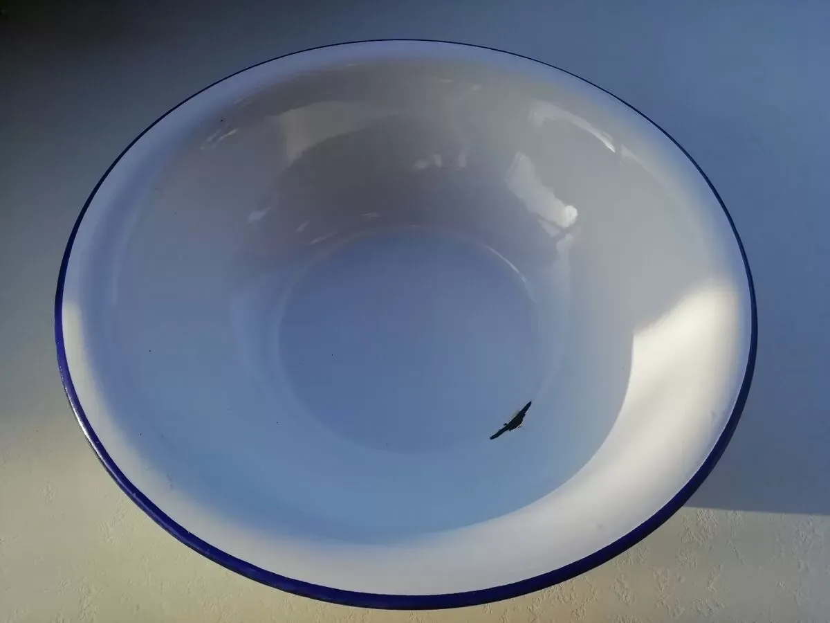 Illustration numéro 4 du produit Bassine en tôle émaillée