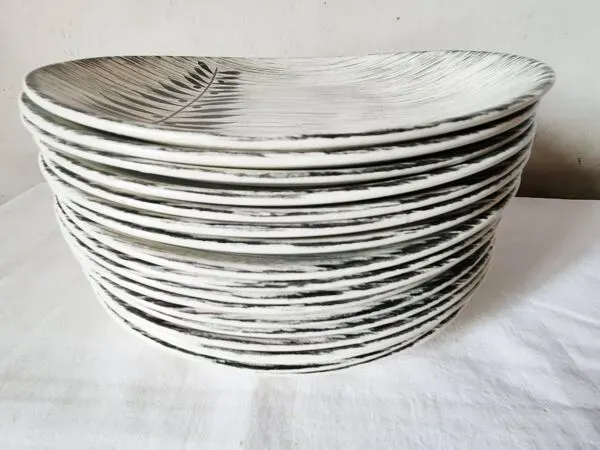 Illustration numéro 4 du produit Vintage french 1960s salins tolede - toledo dinner plates black olive