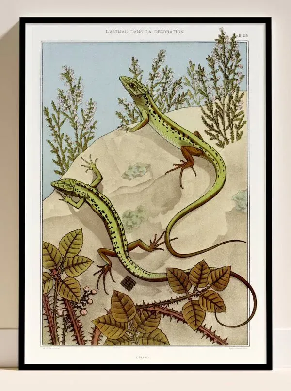 Illustration numéro 4 du produit Affiche “Lézard”, d’après une lithographie art nouveau de 1897