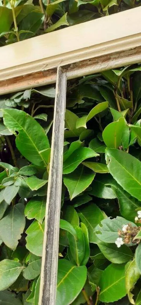 Illustration numéro 4 du produit Porte vitrée communication h221,5x90cm ancienne 4 carreaux sans vitrage intérieure