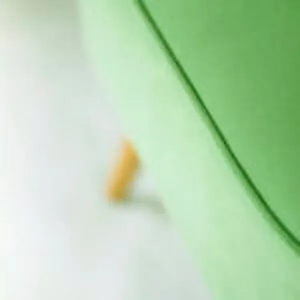 Illustration numéro 4 du produit Chaise club vert, années 60-70