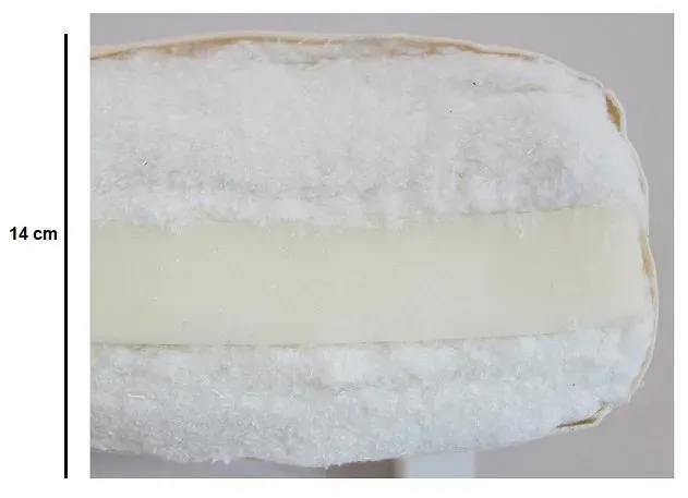 Illustration numéro 5 du produit Banquette futon FOLK en pin massif coloris gris couchage 130 x 190 cm.