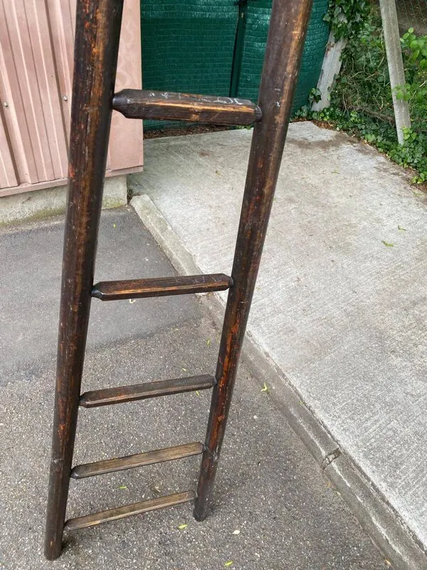 Illustration numéro 5 du produit Échelle en bois massif à 5 barreaux, XIXème siècle