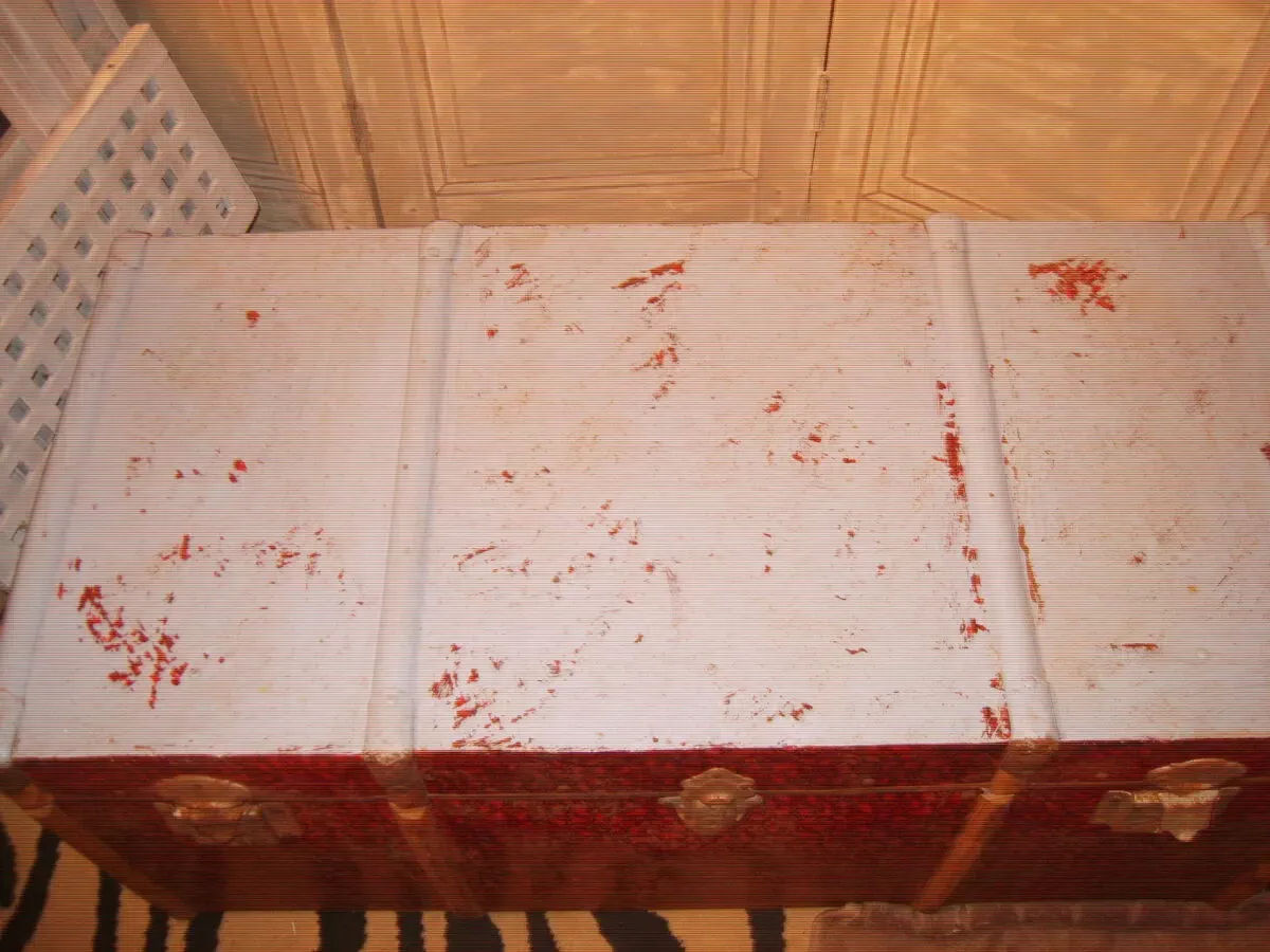 Illustration numéro 5 du produit Malle du Portugal