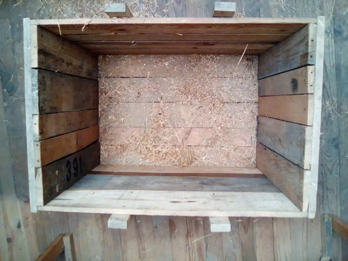 Illustration numéro 5 du produit caisses de transport artisanales